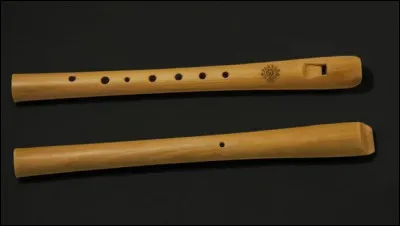 Comment appelle-t-on ce que l'on voit sur cette image ?