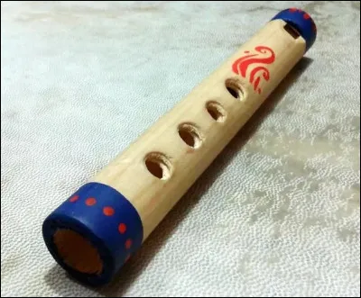 Quel est le nom de cet instrument de musique ?