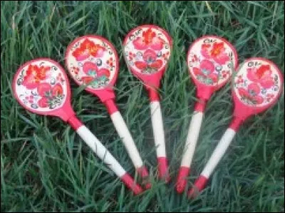 Comment appelle-t-on ce que l'on voit sur cette image ?