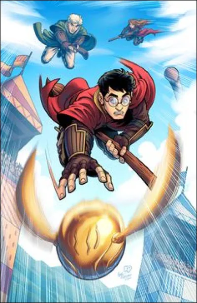 Par quoi se fait poursuivre Harry pendant le match de Quidditch ?