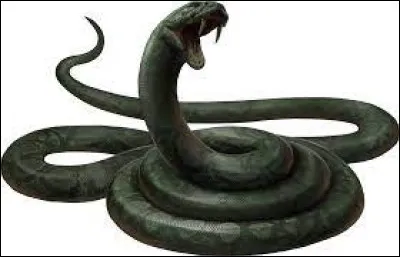 Qui le serpent agresse-t-il pendant le club de duel ?