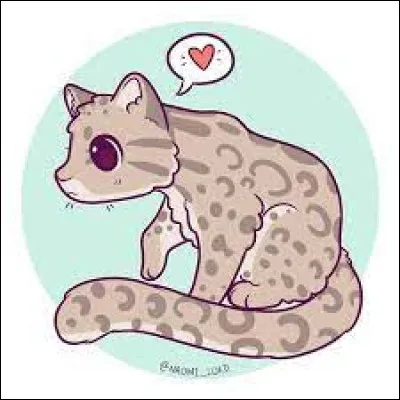 Quel est cet animal ?