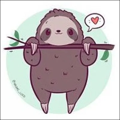 Quel est cet animal ?