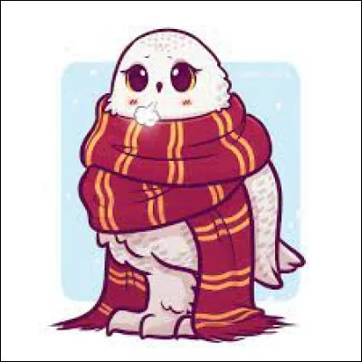 Quel est cet animal ?