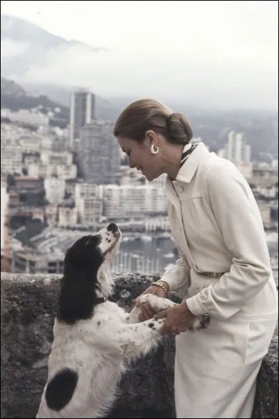 Au del&agrave; du casino et des h&ocirc;tels, Grace contribue &agrave; rendre Monaco culturellement active. Elle cr&eacute;e...