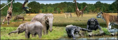 Quel animal est associé à Hadès ?