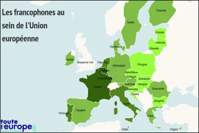 Quel pays francophone n'a que le français comme langue officielle ?