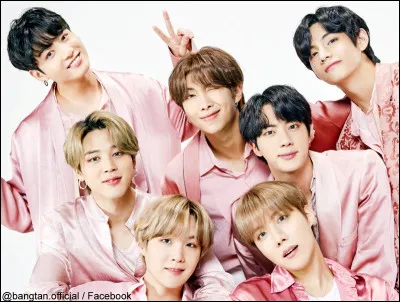 Comment appelle-t-on les fans de BTS ?