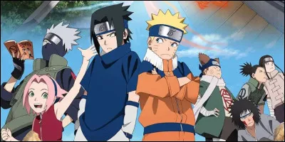 Quel est cet anim&eacute; ?