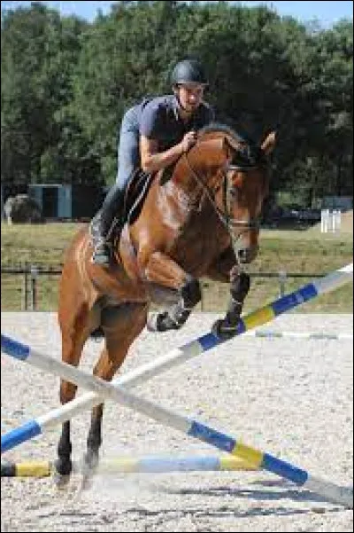 Quel est le nom de cet obstacle ?