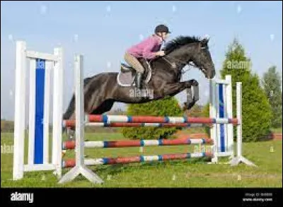 Quel est le nom de cet obstacle ?