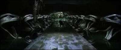 Quelle élève a été capturée et emmenée dans la Chambre des secrets ?