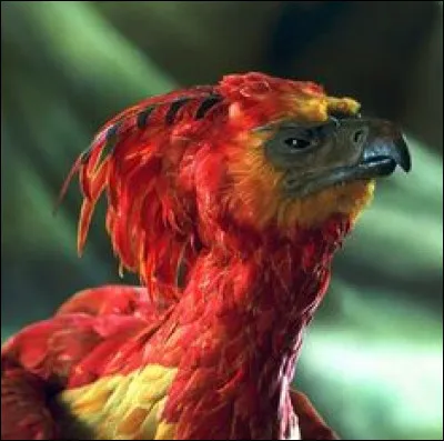 Qu'apporte Fumseck à Harry ?