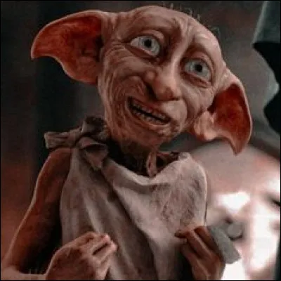 Que donne Harry à Dobby pour le libérer ?