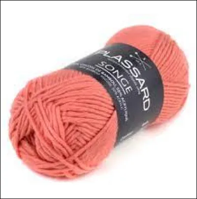 Quelle lettre faut-il remplacer pour obtenir celui qui conduit ?