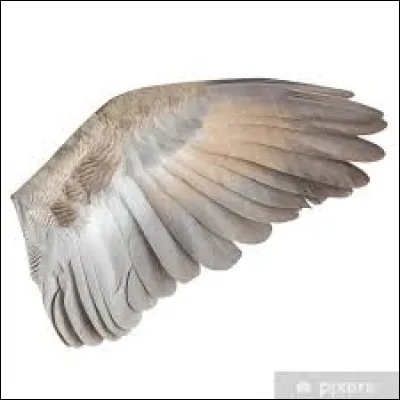 Quelle lettre faut-il remplacer pour obtenir une source d'alimentation électrique ?