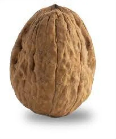 Quelle lettre faut-il remplacer pour obtenir le son humain ?