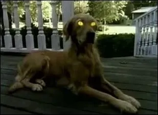 Dans le gnrique de quelle srie fantastique voit-on ce chien ?