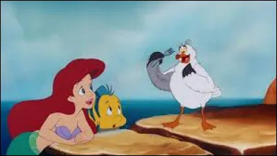 Comment s'appelle la mouette loufoque du film d'animation Disney "La Petite Sirène" ?