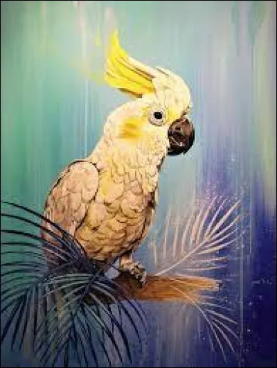Quel est le nom de cet oiseau faisant partie de la même famille des perroquets ?