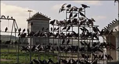 En 1963, qui a réalisé le film "Les Oiseaux" ?