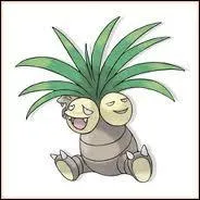 Qui est ce Pokemon ?