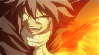 Qui est le frère de Natsu ?