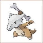 Qui est ce Pokemon ?