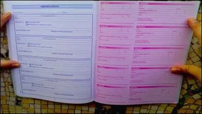 Dans ton carnet il y a :