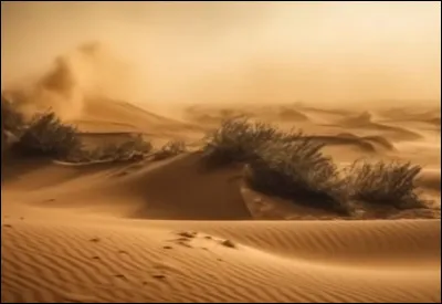 Quel est le plus grand désert du monde ?