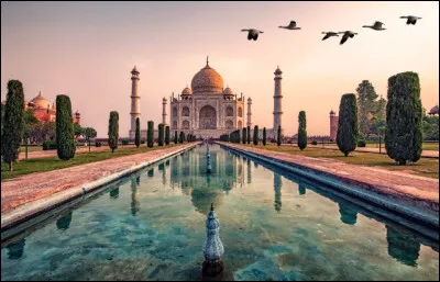 Quelle est la fleur nationale de l'Inde ?