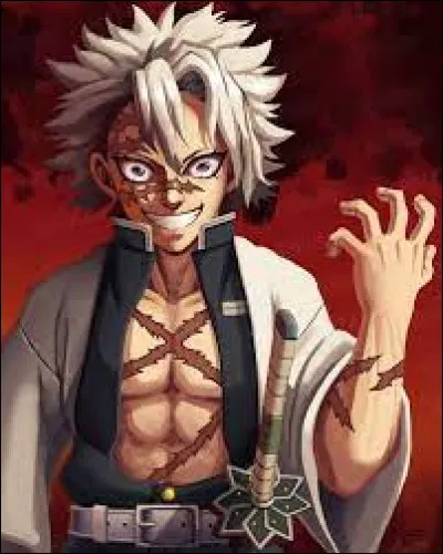 Sanemi, est-il humain ou démon ?