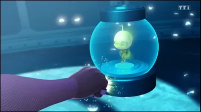 Quel animal est représenté par le miraculous du kwami Wayzz ?