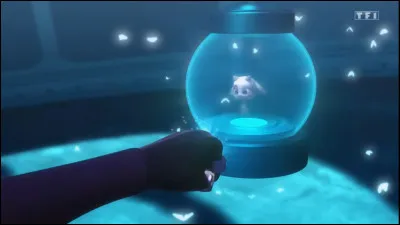 Quel animal est représenté par le miraculous du kwami Ziggy ?