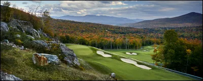 Quelle est la vitesse d'un loup en course ?