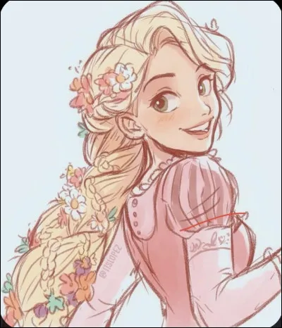 Qui est Flynn Rider ?