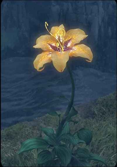 De quelle taille sont les cheveux de Raiponce ?