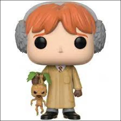 Pourquoi Ron voulait-il rater le cours de botanique ?