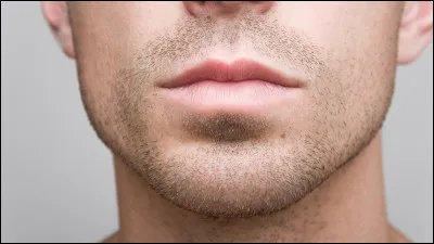 Comment dit-on "bouche" en Vieux Norrois ?