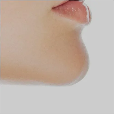 Comment dit-on "menton" ?