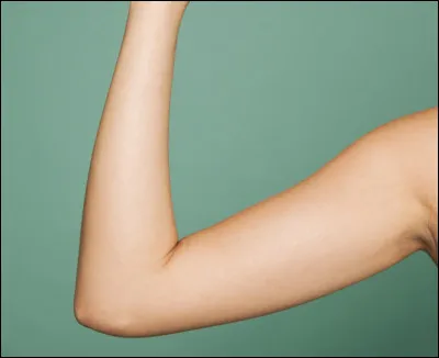 Comment dit-on "bras" ?