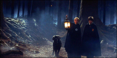Rusard t'emmène dans la Forêt interdite et sur ton chemin tu croises un animal. Lequel préfères-tu croiser ?