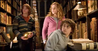 Lors de ton passage &agrave; la biblioth&egrave;que, tu empruntes un livre. &Agrave; quelle section appartient-il ?