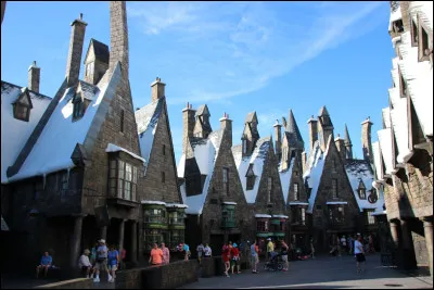 Lors d'une sortie &agrave; Pr&eacute;-au-Lard, tu es invit&eacute; aux Trois Balais. Le barman vient prendre ta commande. Quelle boisson choisis-tu ?