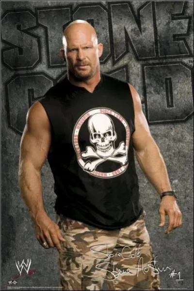 Il a la mme chevelure que qui ?