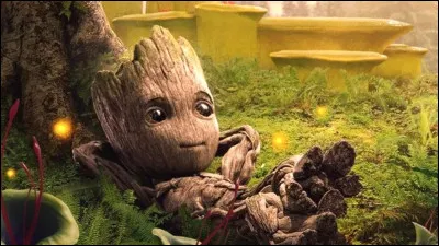 Dans quelle série de films retrouve-t-on Groot ?