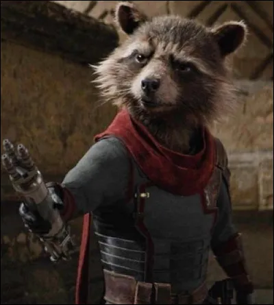 Quel animal est Rocket Raccoon ?