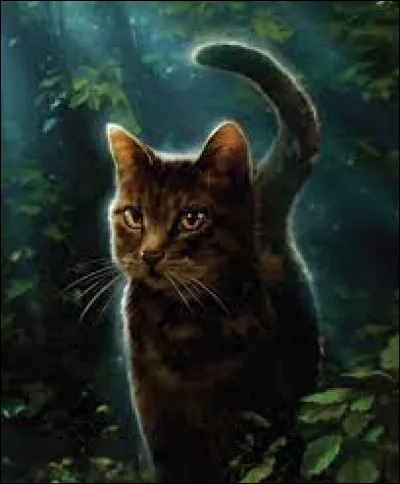 Griffe de Pierre : qu'a-t-il donné à Étoile Solitaire avec une vie ?