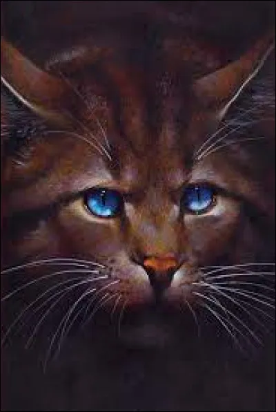 Plume de Faucon : quel faux signe du Clan des Etoiles a-t-il créé ?