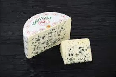 Comment s'appelle le champignon que l'on trouve dans les fromages de type roquefort ou bleu d'Auvergne ?